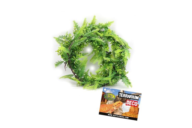 Ingericht terrarium voor een slang